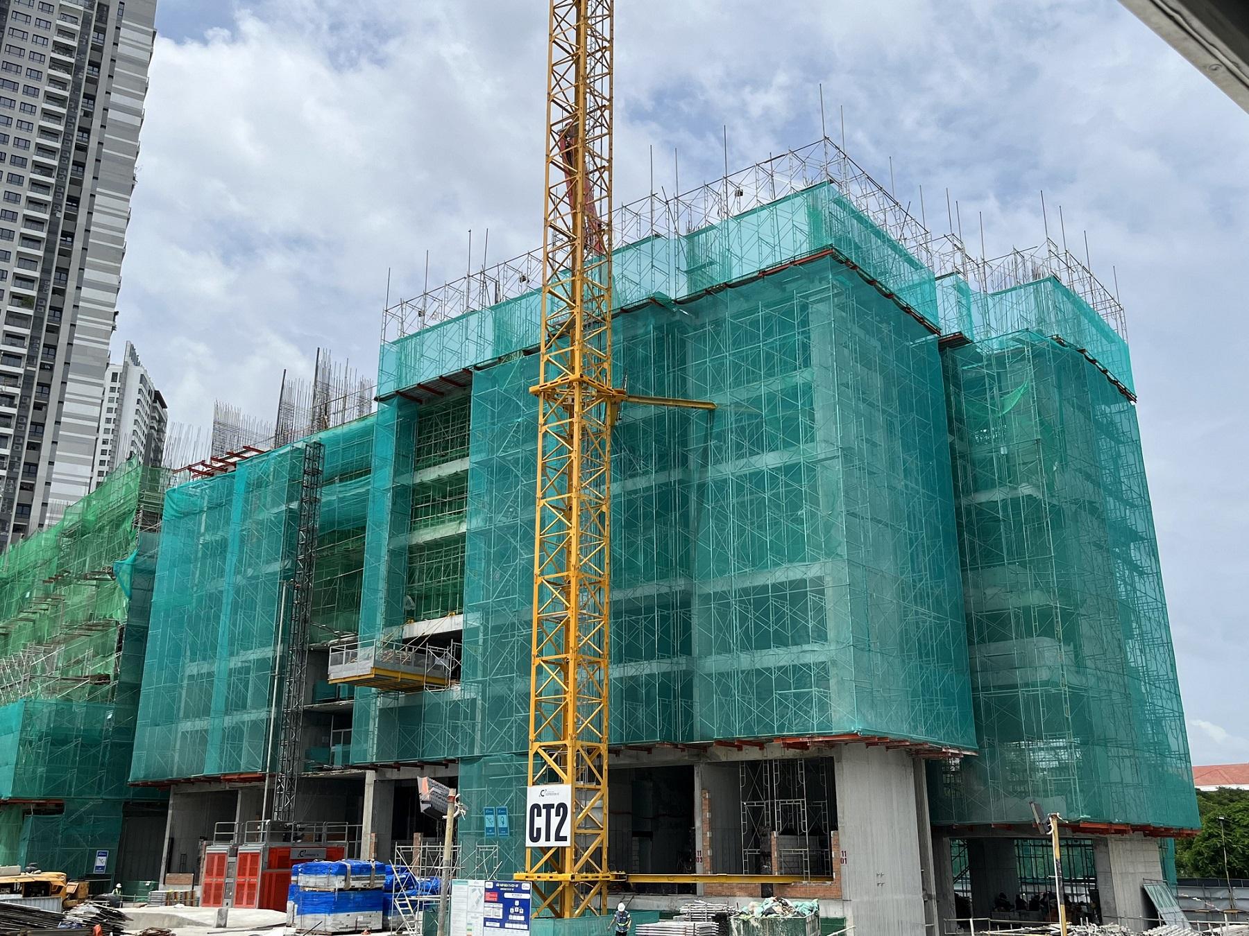 5. Hoàn thành công tác thi công dầm sàn tầng 5, 6, 7 tại Tháp 11.